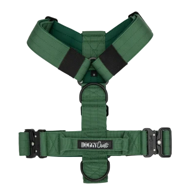 forest-arnés-sin-fondo