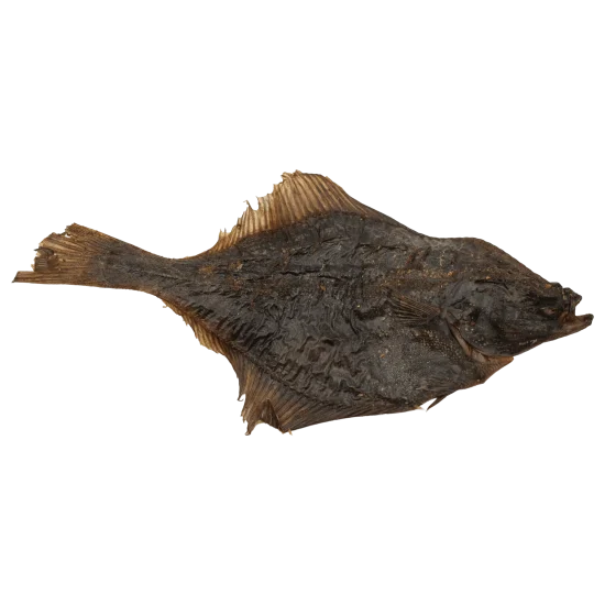 platija-snack-natural-para-perros