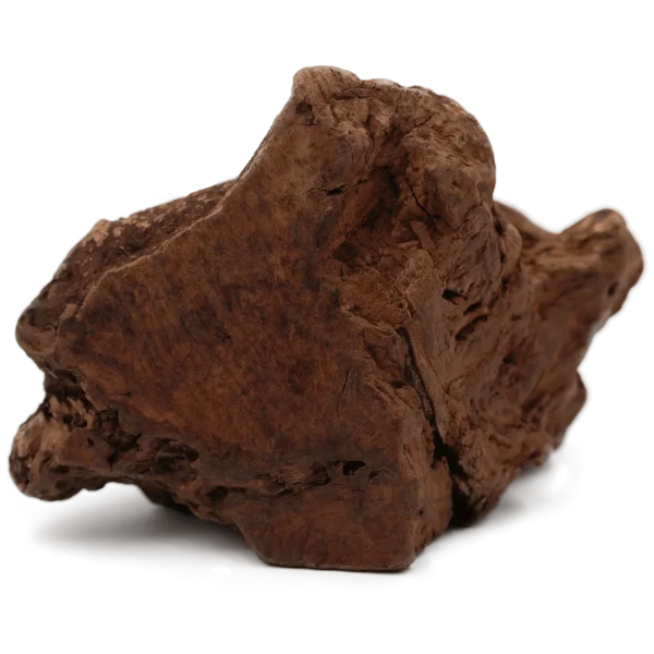 raiz-de-brezo-2