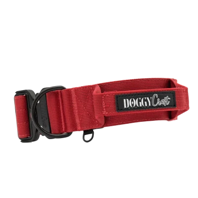 velvet-collar-sin-fondo